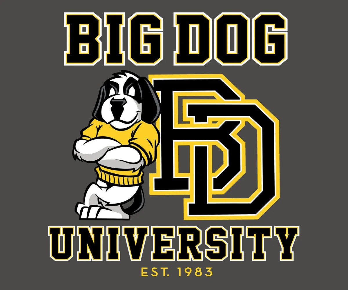 Bd University Black Gold T-shirt