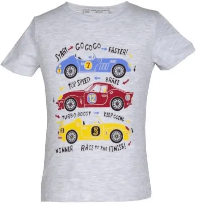 Boys' Gray T-Shirt