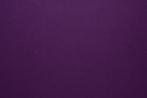 Egg Plant Purple Plain Suit