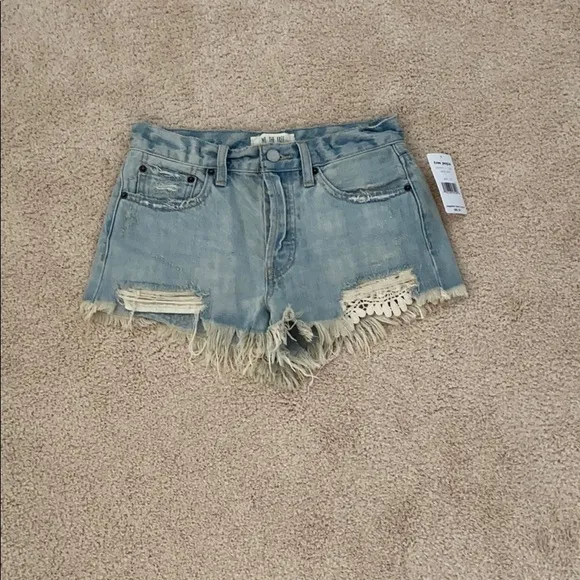 HP🎉 NWT We the Free Daisy Blue Shorts