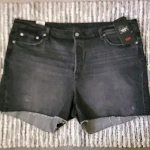 Levi's Premium High Rise Denim Shorts Size 24