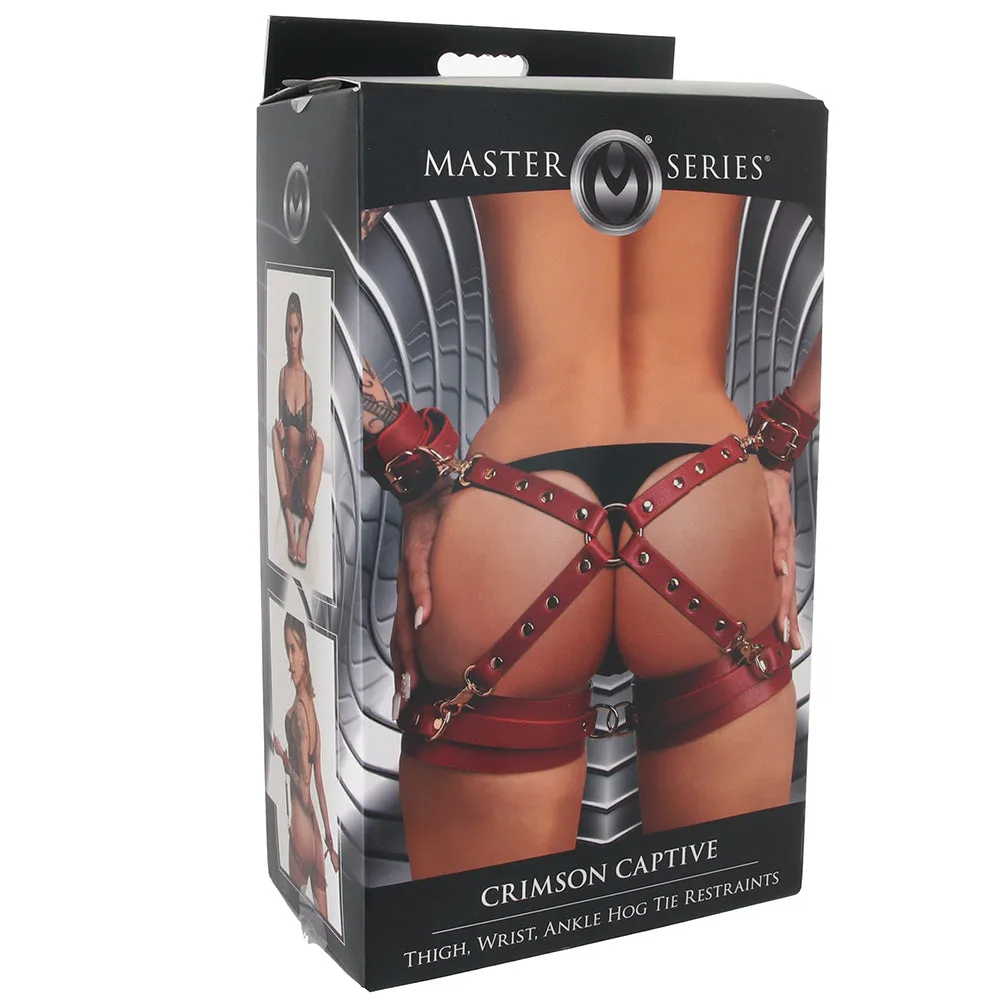 Master Series Crimson Captive Hog Tie Restraint